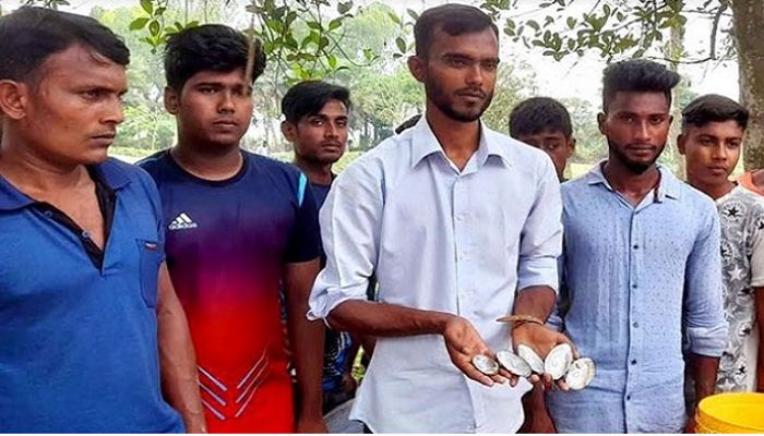 আত্রাইয়ে মুক্তা চাষ করে সফল তরুণ উদ্যোক্তা কবির