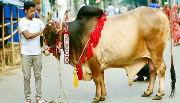 দ্বিতীয় দিনেও চলছে পশু কোরবানি