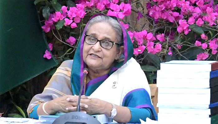 অনেক দেশেই এখন বিদ্যুতের জন্য হাহাকার : প্রধানমন্ত্রী