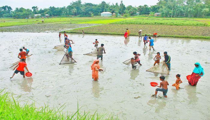 মাছ ধরার উৎসব