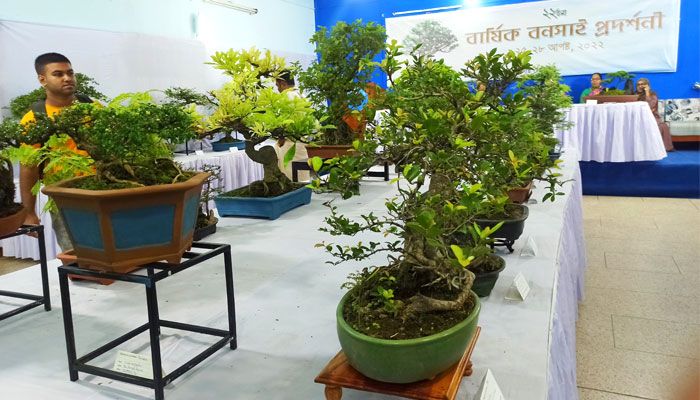 বনসাই প্রদর্শনী