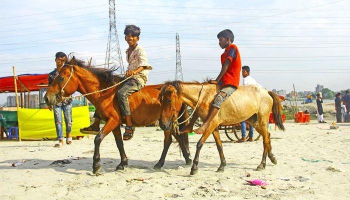 ঘোড়ায় চড়ে ঝিলের পাড়ে দুই কিশোর 