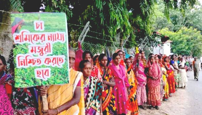 মজুরি বৃদ্ধির দাবিতে চা শ্রমিকদের অনির্দিষ্টকালের ধর্মঘট