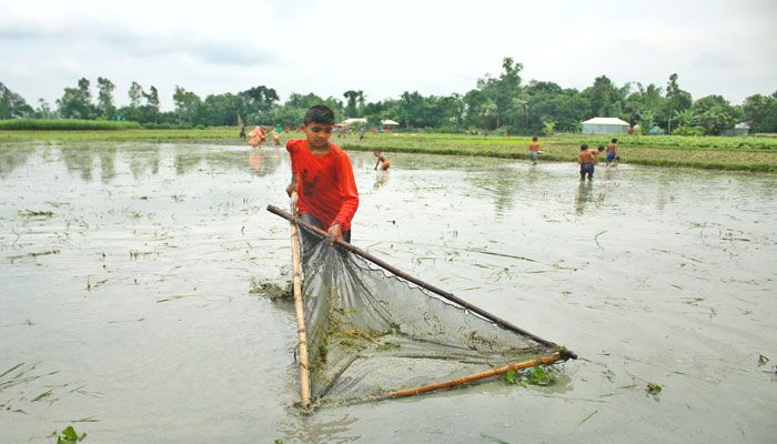 মাছ ধরায় ব্যস্ত কিশোর ছেলেটি
