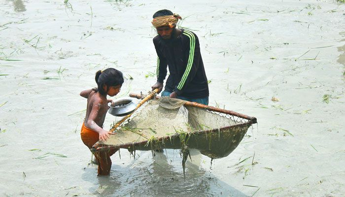 বাবার সঙ্গে মাছ ধরায় সহায়তা করছে মেয়ে