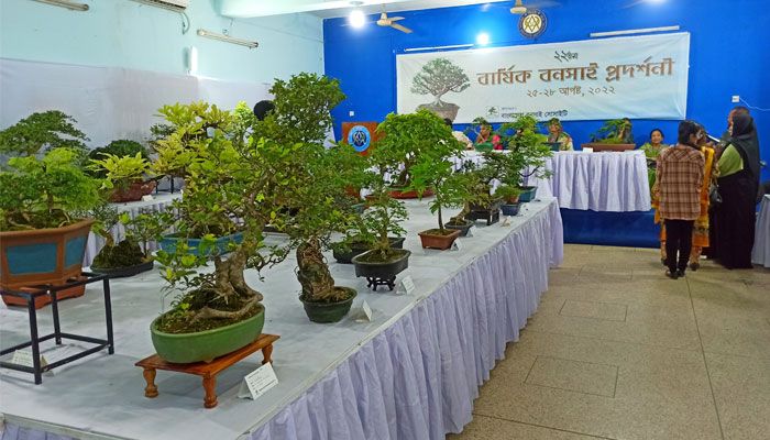 বনসাই প্রদর্শনী