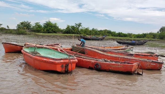 যে কারণে মিরসরাইয়ে মিলছে না কাঙ্ক্ষিত ইলিশ