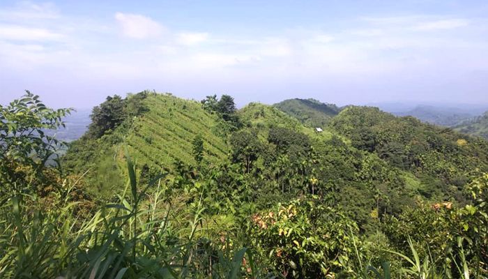 চন্দ্রনাথ পাহাড়ে একদিন