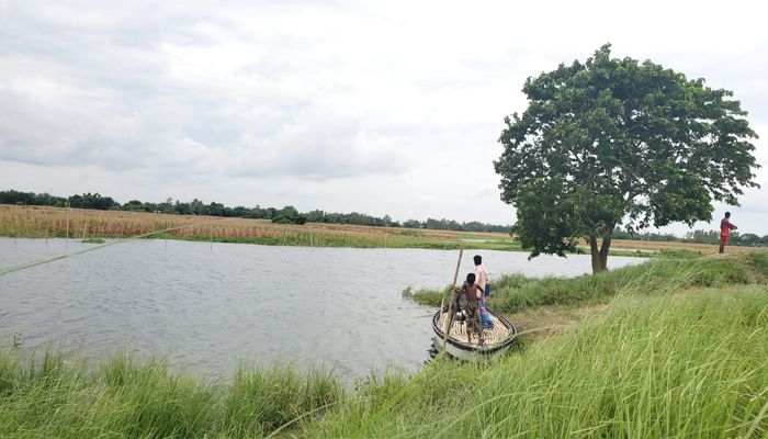 পদ্মাপারের পাটগ্রাম 