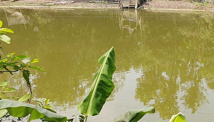 নেত্রকোনায় পানিতে ডুবে দুই শিশুর মৃত্যু