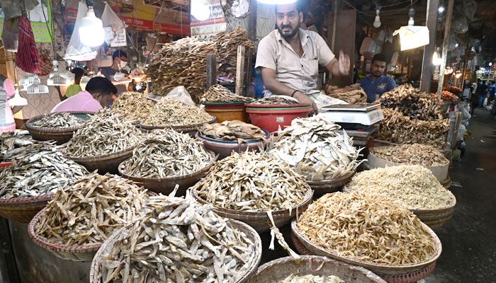 মোহাম্মদপুর টাউন হল বাজার