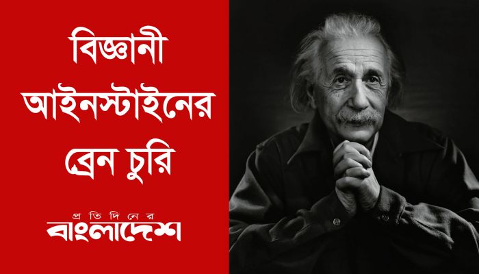 বিজ্ঞানী আইনস্টাইনের ব্রেন চুরি
