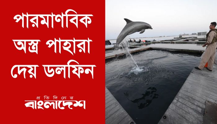 পারমাণবিক অস্ত্র পাহারা দেয় ডলফিন