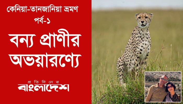বন্য প্রাণীর অভয়ারণ্যে