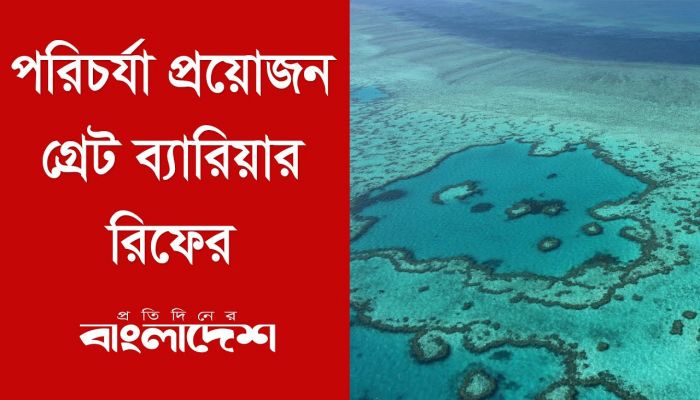  পরিচর্যা প্রয়োজন গ্রেট ব্যারিয়ার রিফের