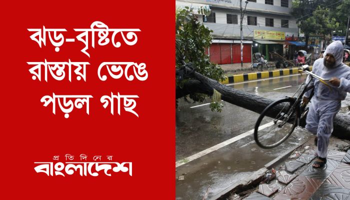 ঝড়-বৃষ্টিতে রাস্তায় ভেঙে পড়ল গাছ 