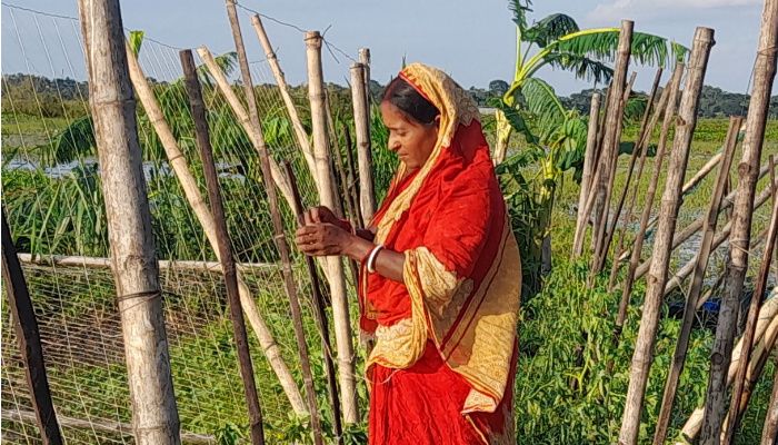সিত্রাংয়ে গোপালগঞ্জে ৪ হাজার হেক্টর জমির ফসলের ক্ষতি