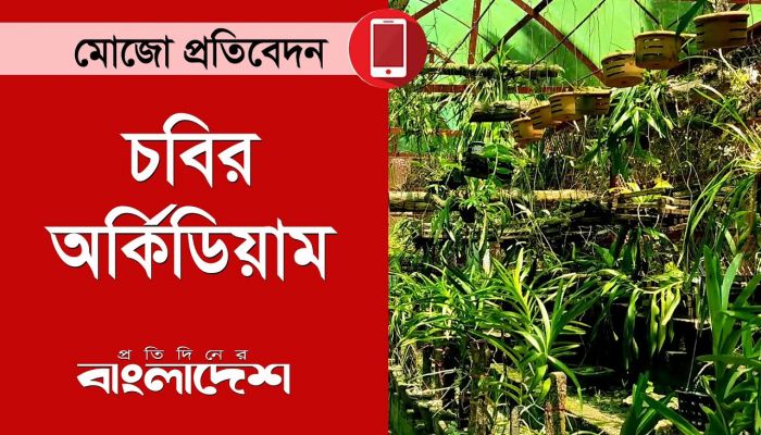 চবির সংগ্রহশালায় রয়েছে ১১০ ধরনের বিপন্নপ্রায় অর্কিড