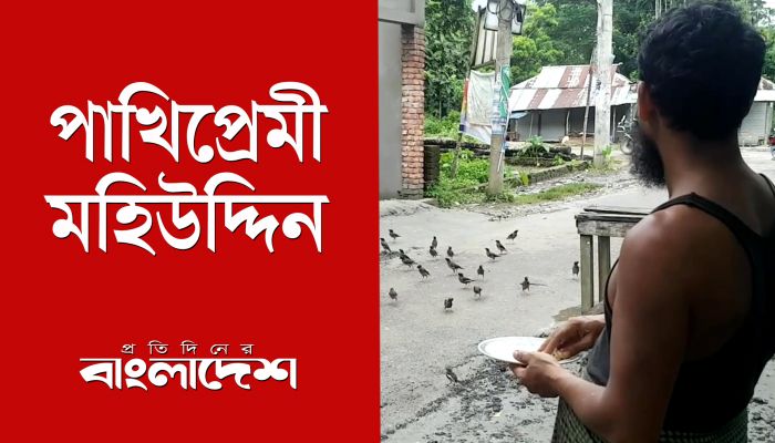 পাখিপ্রেমী মহিউদ্দিন