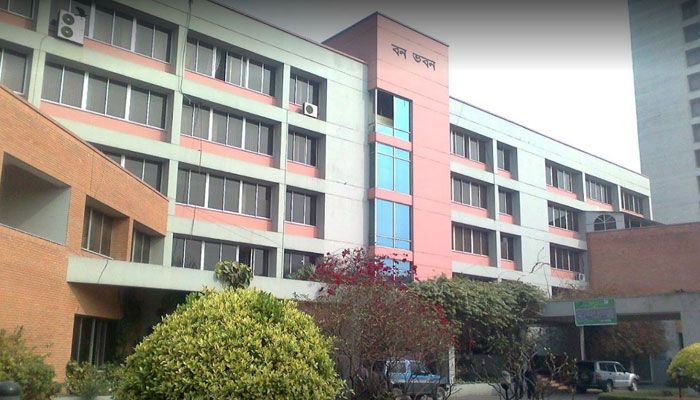 বন অধিদপ্তরে একাধিক পদে ২৭৫ চাকরি