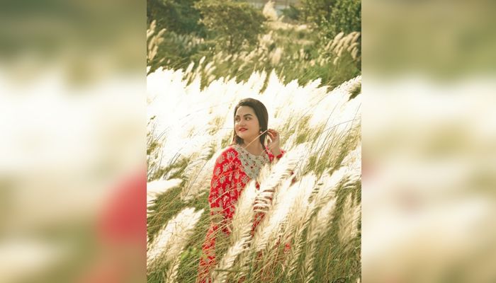 বাতাসে কাশফুলের দোল