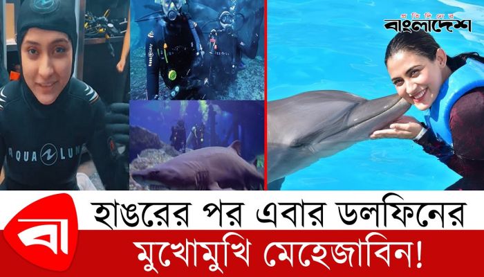 হাঙরের পর এবার ডলফিনের মুখোমুখি মেহেজাবিন !
