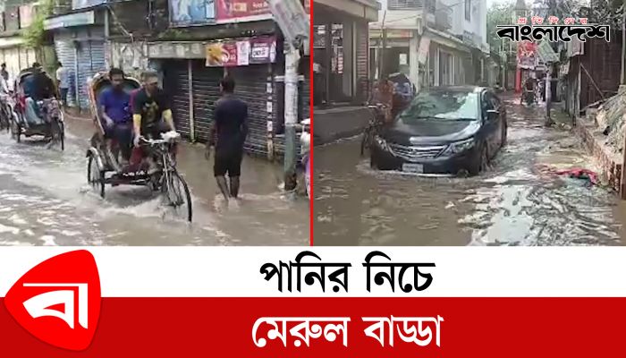 পানির নিচে মেরুল বাড্ডা