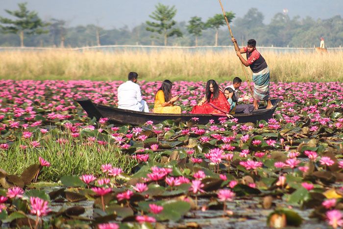 লাল শাপলার রাজ্য