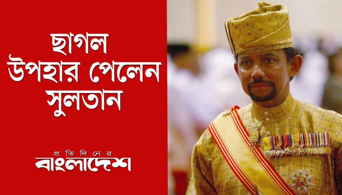 ছাগল উপহার পেলেন ব্রুনাইয়ের সুলতান 