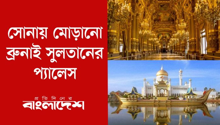 সোনায় মোড়ানো ব্রুনাই সুলতানের প্যালেস