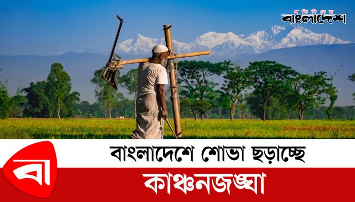 কাঞ্চনজঙ্ঘা দেখতে তেঁতুলিয়ায় ছুটছেন পর্যটকরা