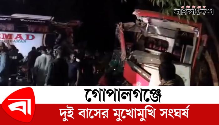 গোপালগঞ্জে দুই বাসের মুখোমুখি সংঘর্ষে চালক নিহত