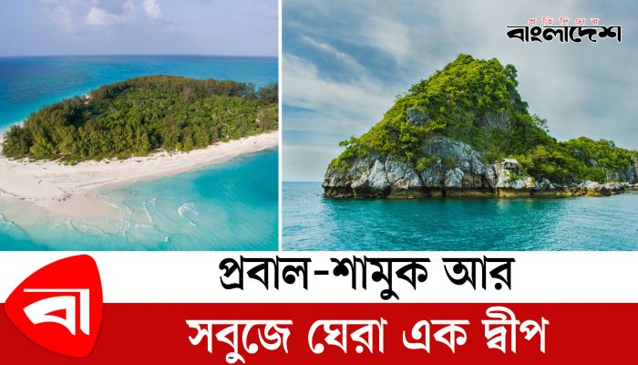 প্রবাল-শামুক আর সবুজে ঘেরা এক দ্বীপ 