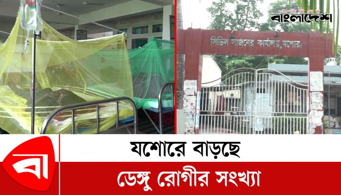 যশোরে বাড়ছে ডেঙ্গু রোগীর সংখ্যা 