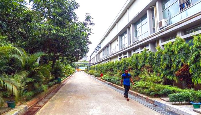 ১৭৮ সবুজ কারখানা নিয়ে শীর্ষে বাংলাদেশ