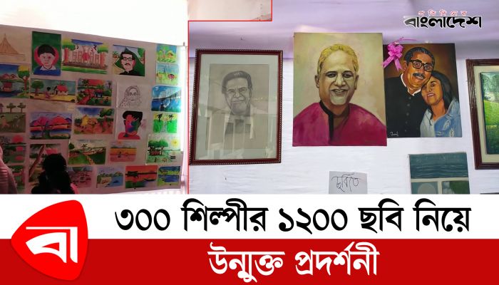 কুমিল্লায় ৩০০ শিল্পীর ১ হাজার ২০০ ছবি নিয়ে উন্মুক্ত প্রদর্শনী