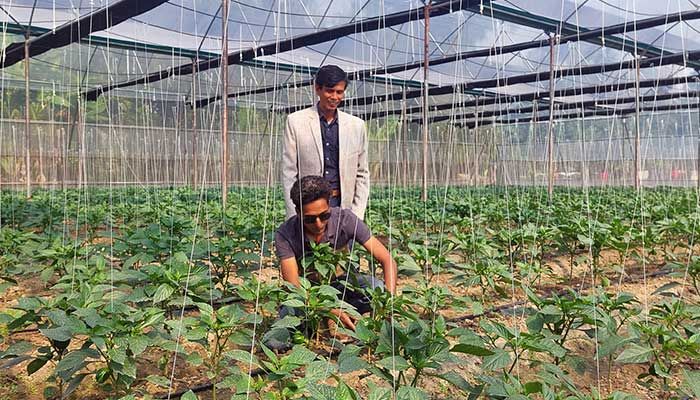 পলিনেট হাউসে চাষাবাদ বাড়ছে বরেন্দ্র সবজি ভাণ্ডার হিসেবে পরিচিত রাজশাহী অঞ্চলে। ছবি : প্রবা