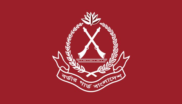 বর্ডার গার্ড বাংলাদেশ-এ অসামরিক পদসমূহে ৩৩৩ নিয়োগ