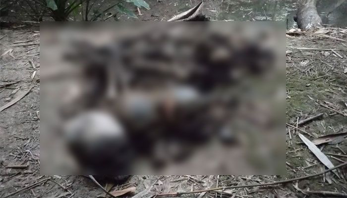 পরিত্যক্ত ডোবা থেকে মাথার খুলিসহ হাড় উদ্ধার