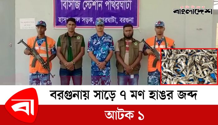 বরগুনায় সাড়ে ৭ মণ হাঙর জব্দ, আটক ১