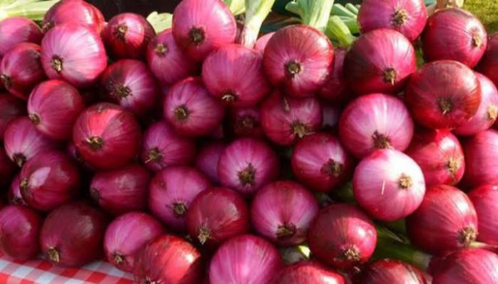 চাহিদার সঙ্গে কমেছে পেঁয়াজের দাম 