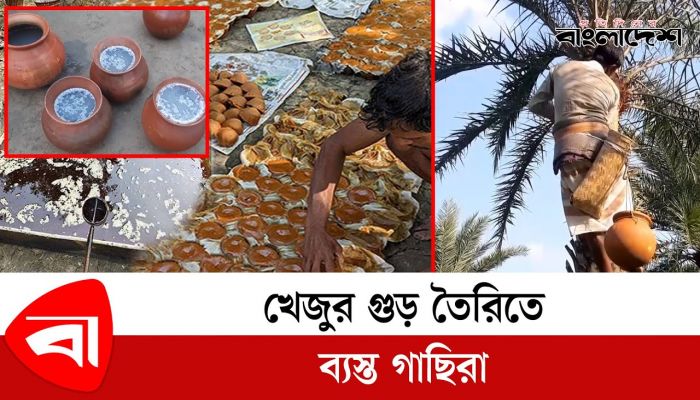খেজুর গুড় তৈরিতে ব্যস্ত গাছিরা 