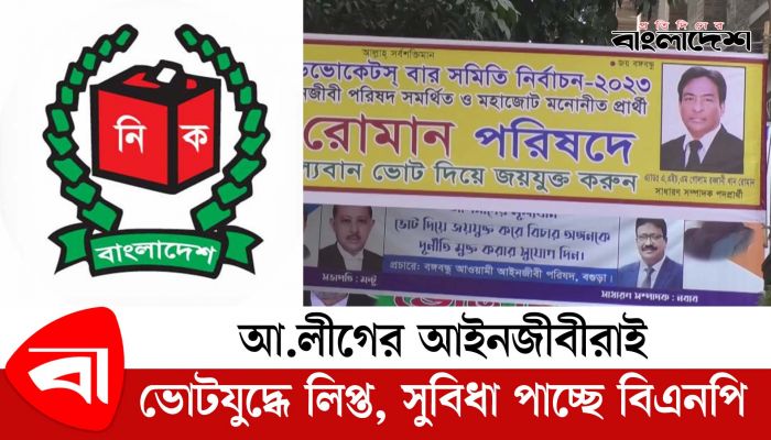 আ.লীগের আইনজীবীরাই ভোটযুদ্ধে লিপ্ত, সুবিধা পাচ্ছে বিএনপি