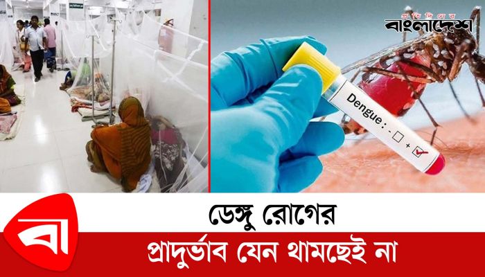 ডেঙ্গু রোগের প্রাদুর্ভাব যেন থামছেই না