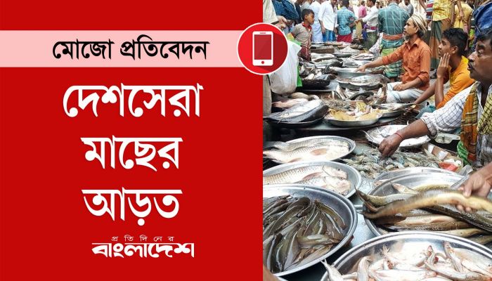 দেশসেরা মাছের আড়ত