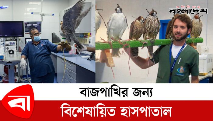 বাজপাখির জন্য বিশেষায়িত হাসপাতাল