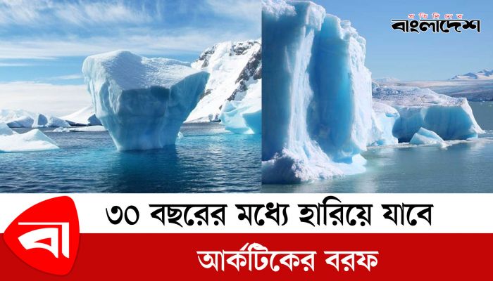  ৩০ বছরের মধ্যে হারিয়ে যাবে আর্কটিকের বরফ