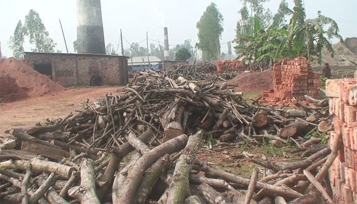 অবৈধ ইটভাটায় পুড়ছে কাঠ, দূষিত হচ্ছে পরিবেশ