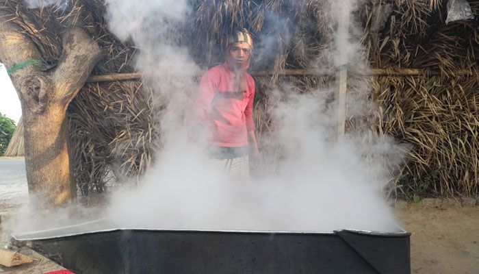 রস সংগ্রহে ব্যস্ততা গাছিদের
