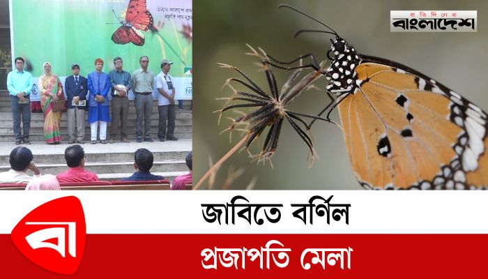 জাবিতে আজ বর্ণিল প্রজাপতি মেলা